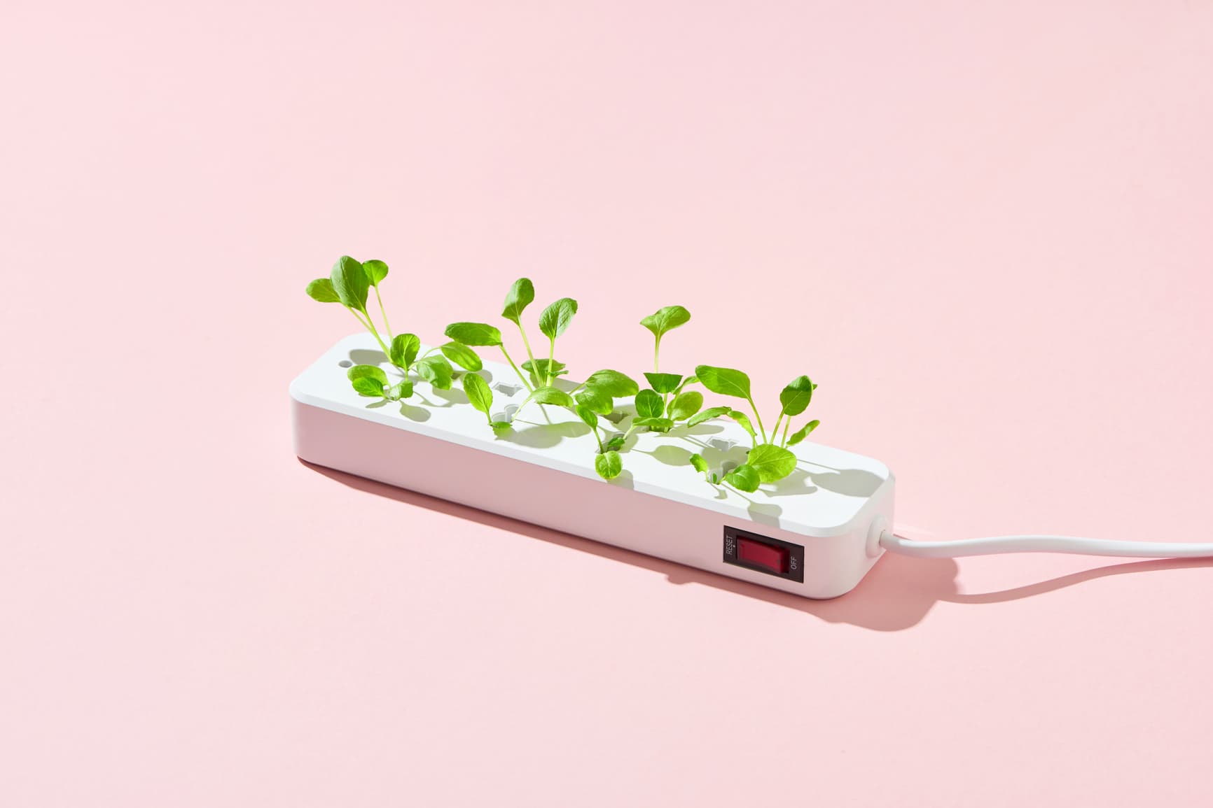 Climate quitting - après la Grande démission, place à la Démission climatique
