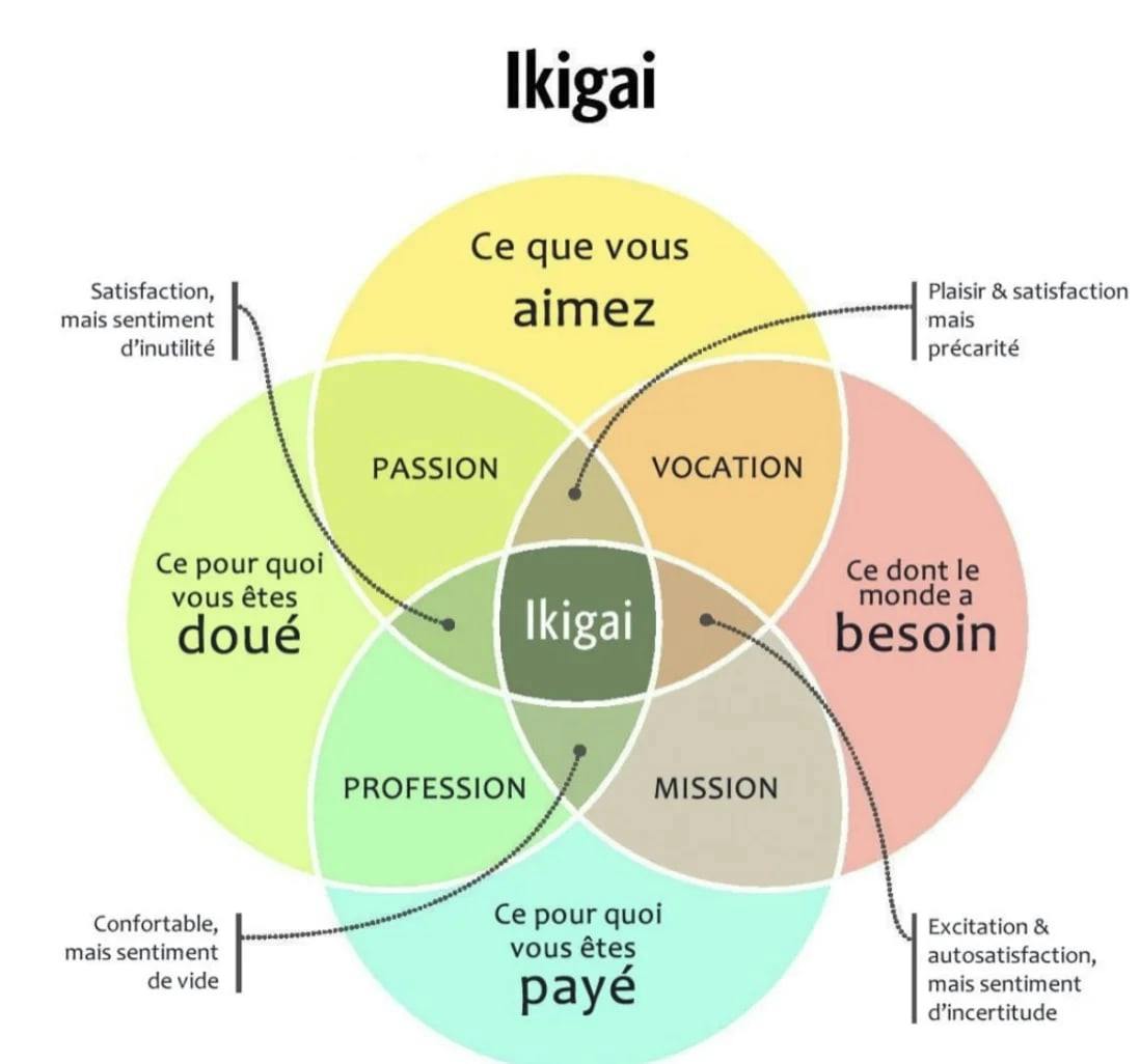 schéma explicatif de la notion IKIGAI